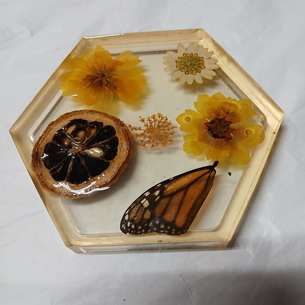Vintage Lucite Resin Small Clear Tray Coaster Pressed Flowers Fruit Butterfly